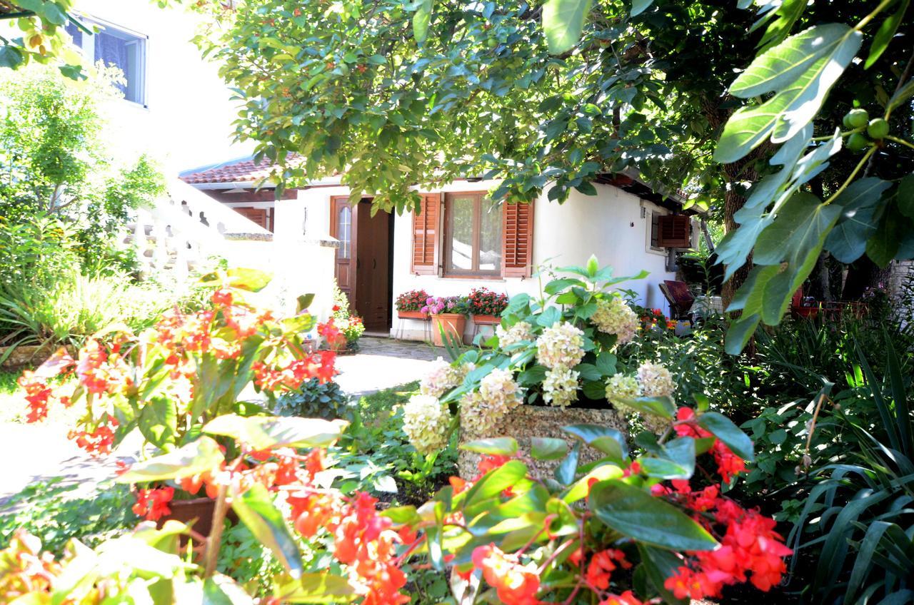 Apartment Amedea Kanfanar Esterno foto